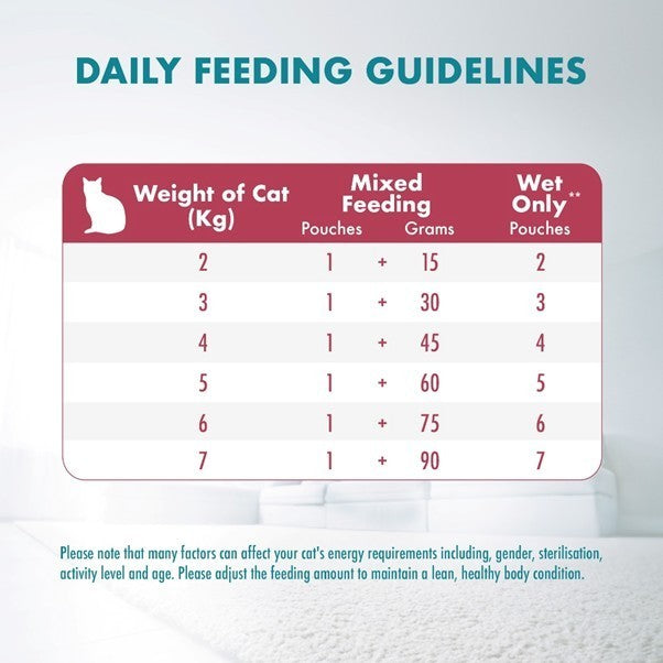 Purina One Cat Wet Food / Pouch 70gm