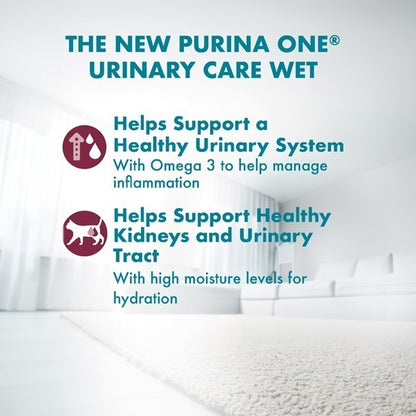 Purina One Cat Wet Food / Pouch 70gm