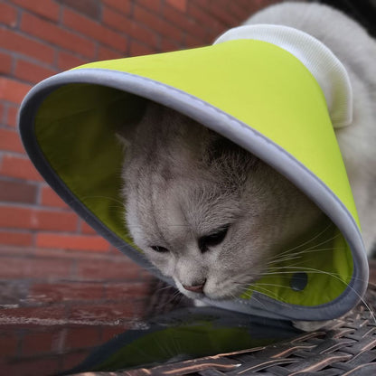 DONE Reflective Elizabeth Collar Cat Dog Anti Lick Biting Recovery Pet Cone Soft Neck Collar Pelindung Leher