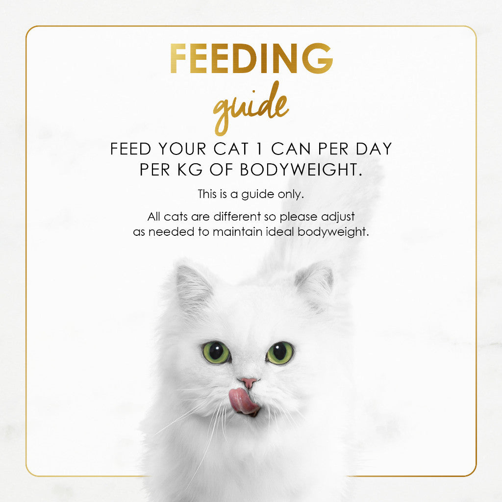 PURINA Fancy Feast Grilled Wet Cat Food in Gravy (85g)