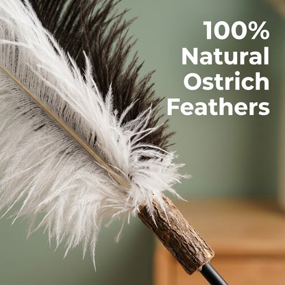 FUREVER365 HM-28 Ostrich Feather Cat Teaser - 160cm Extra Long Wand High-Elasticity Bouncing Toy