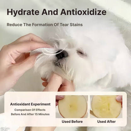 XSDH Pet Eye & Tear Stain Remover Kit: Cleaning Wipes & Solution for Cats