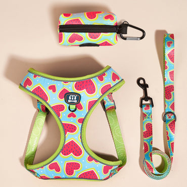 FUREVER365 Reflective Pet Harness Leash Set 2pcs Cat Dog Vest Poop Bag Dispenser Adjustable Floral 2409-HBC2