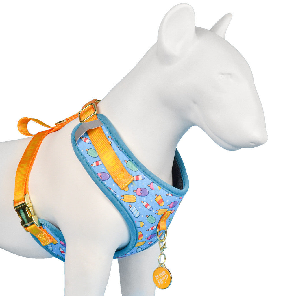 FUREVER365 Cute Pet Harness ID Tag Set Adjustable Cat Dog Vest Breathable Puppy Chest Strap Leash