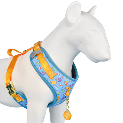 FUREVER365 Cute Pet Harness ID Tag Set Adjustable Cat Dog Vest Breathable Puppy Chest Strap Leash