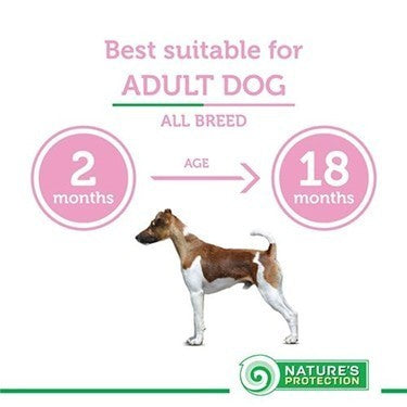 Nature's Protection Dry Feed Dry Dog Food - 2kg  Puppy Junior Senior Adult Dog Food Premium High Protein Dog Food
