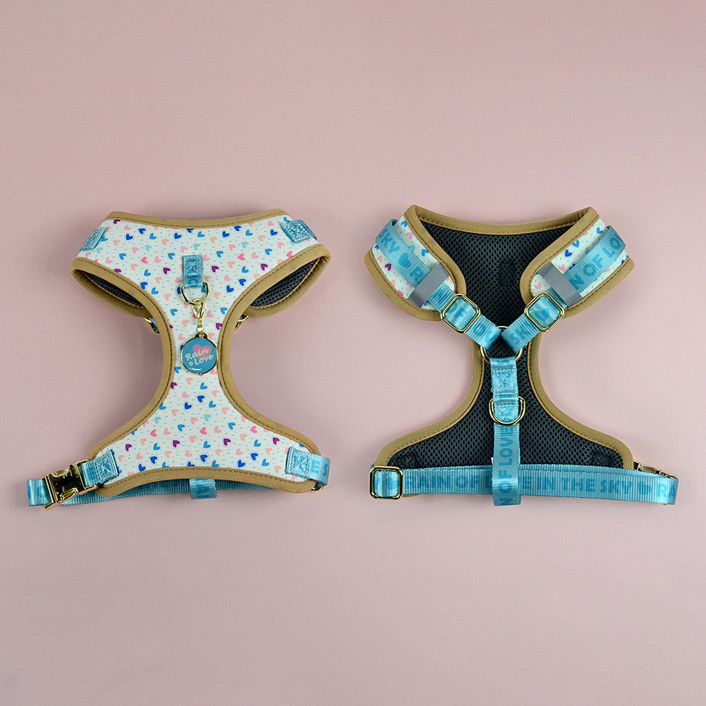 FUREVER365 Cute Pet Harness ID Tag Set Adjustable Cat Dog Vest Breathable Puppy Chest Strap Leash