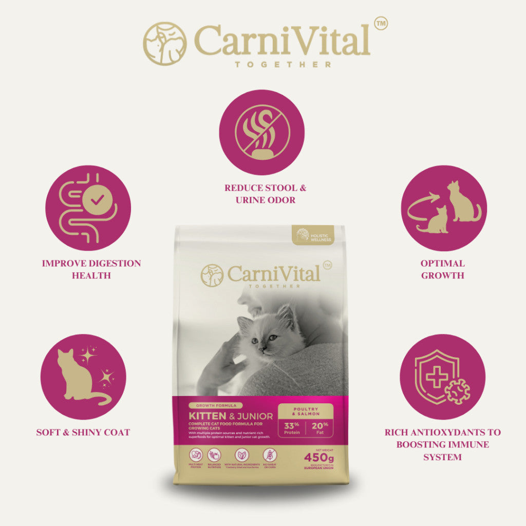 450g Travel Pack - Adult Cat / Hair & Skin / Kitten & Junior Makanan Kucing | CarniVital