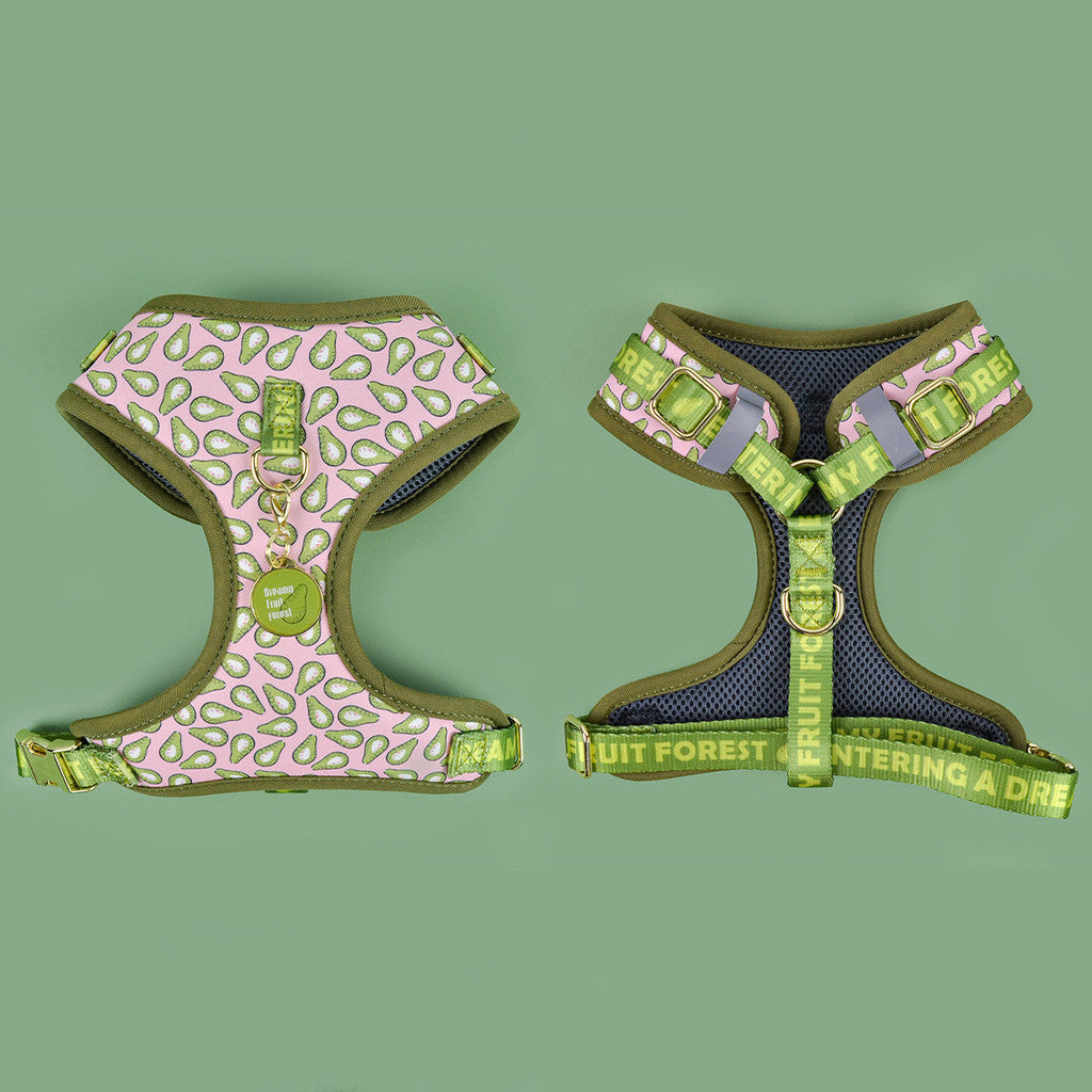 FUREVER365 Cute Pet Harness ID Tag Set Adjustable Cat Dog Vest Breathable Puppy Chest Strap Leash