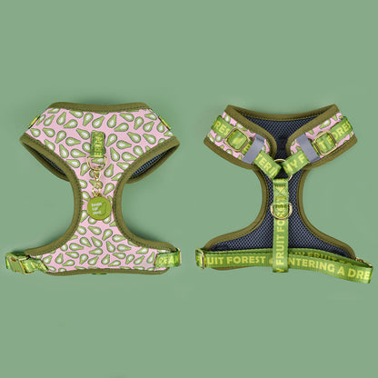 FUREVER365 Cute Pet Harness ID Tag Set Adjustable Cat Dog Vest Breathable Puppy Chest Strap Leash