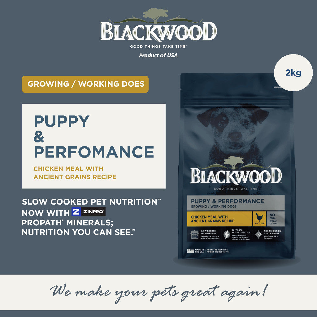 BlackWood All Life Stage Dog Food 2kg