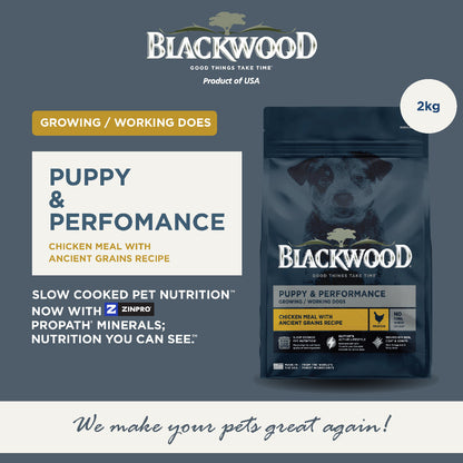 BlackWood All Life Stage Dog Food 2kg