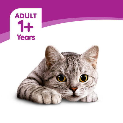 Whiskas Cat Wet Food Value Pack (80g x 6pack)