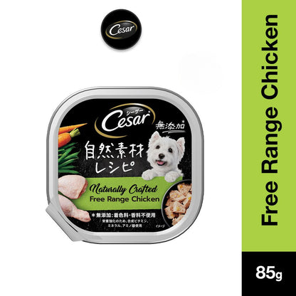 Cesar Naturally Crafted Wet Dog Food Tray - All Flavor 85g Per Pack