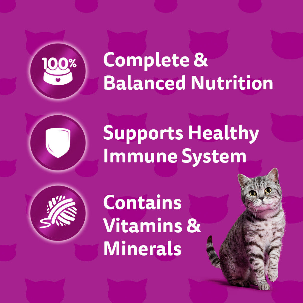 Whiskas Cat Wet Food Value Pack (80g x 6pack)