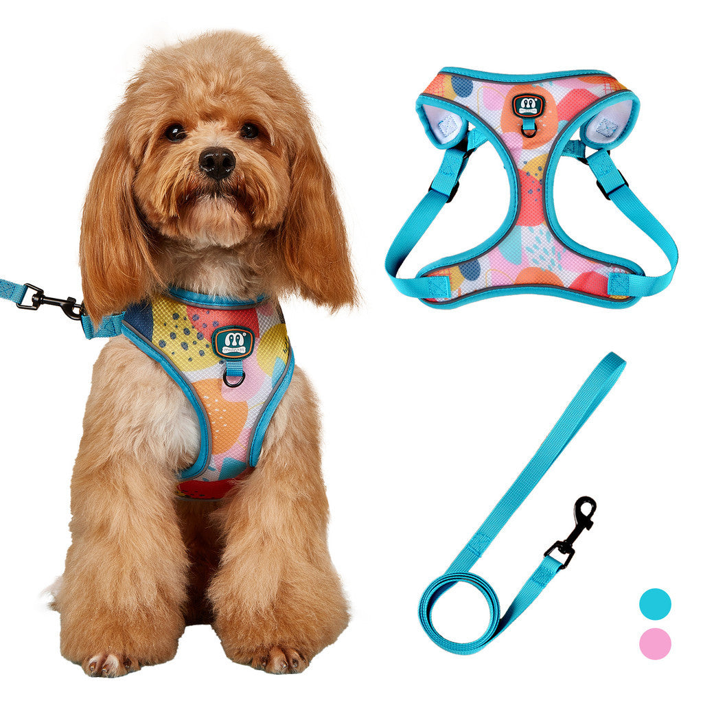 FUREVER365 Cute Blue Floral Pet Harness Leash Set Adjustable Cat Dog Vest Harness Walking Lead 2pcs