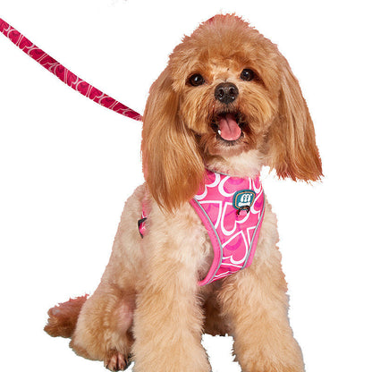 FUREVER365 Reflective Pet Harness Leash Set 2pcs Cat Dog Vest Poop Bag Dispenser Adjustable Floral