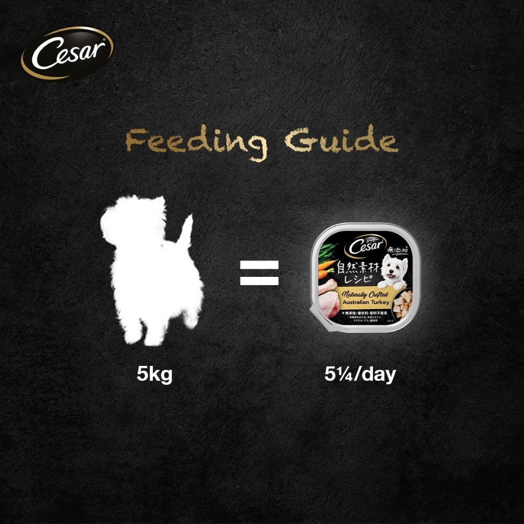 Cesar Naturally Crafted Wet Dog Food Tray - All Flavor 85g Per Pack
