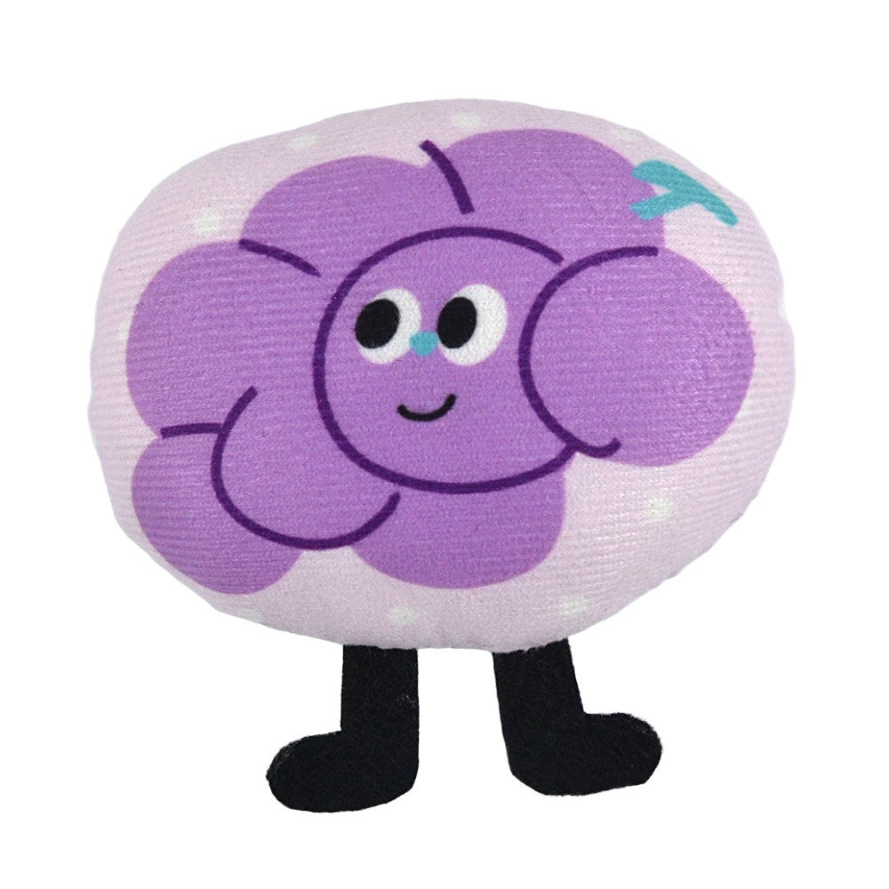 FUREVER365 Cute Pet Plush Crinkle Toy Squeaky Cat Toy Bite Resistant Fruit Floral Interactive Dog Toy