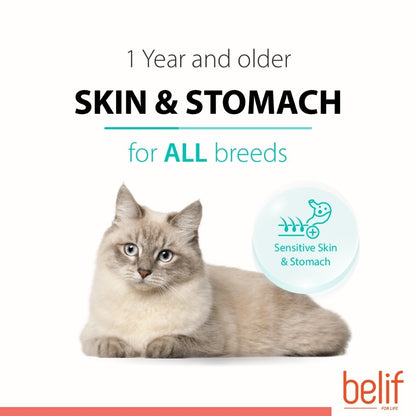 Belif Dry Food (Kitten/Adult/Sensitive Skin & Stomach/Urinary) 2.5kg | Cat Dry Food