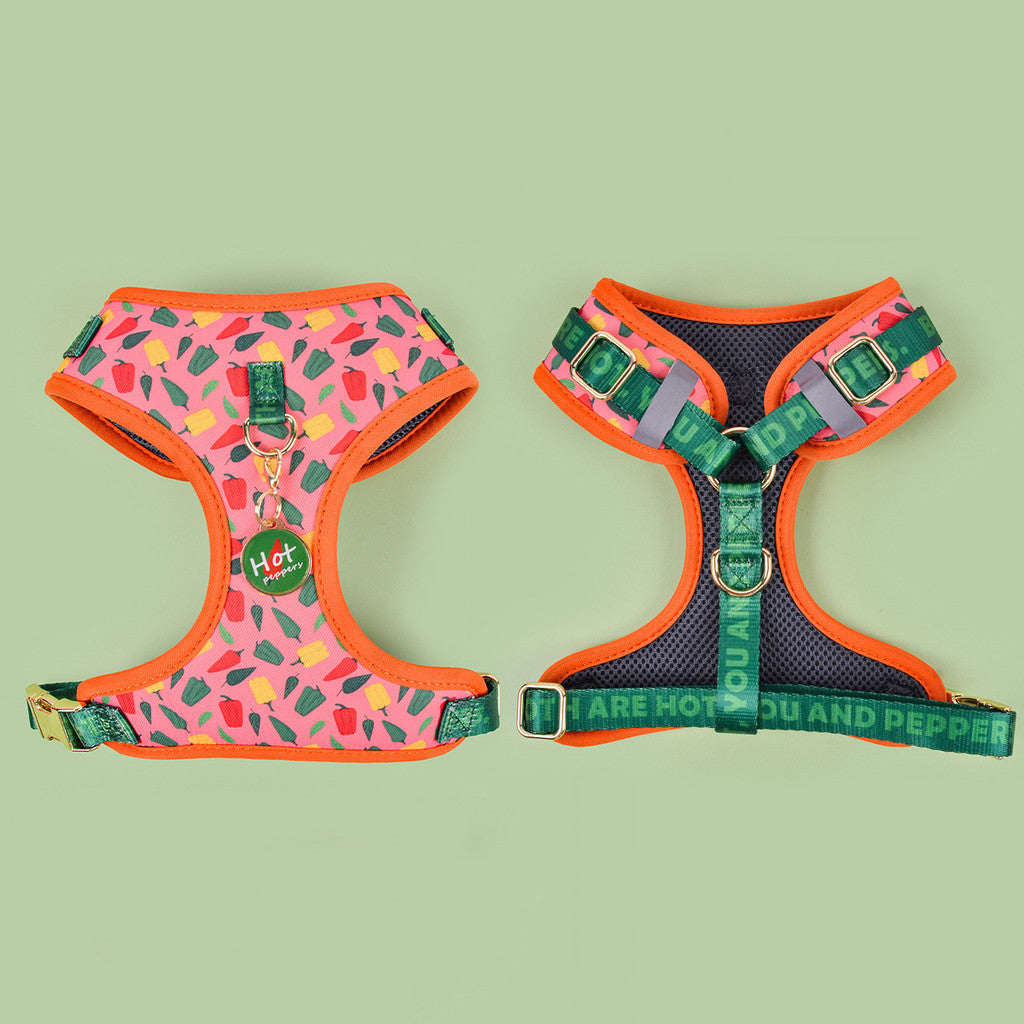 FUREVER365 Cute Pet Harness ID Tag Set Adjustable Cat Dog Vest Breathable Puppy Chest Strap Leash