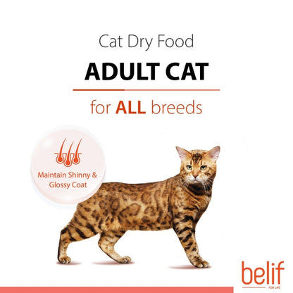 Belif Dry Food (Kitten/Adult/Sensitive Skin & Stomach/Urinary) 2.5kg | Cat Dry Food