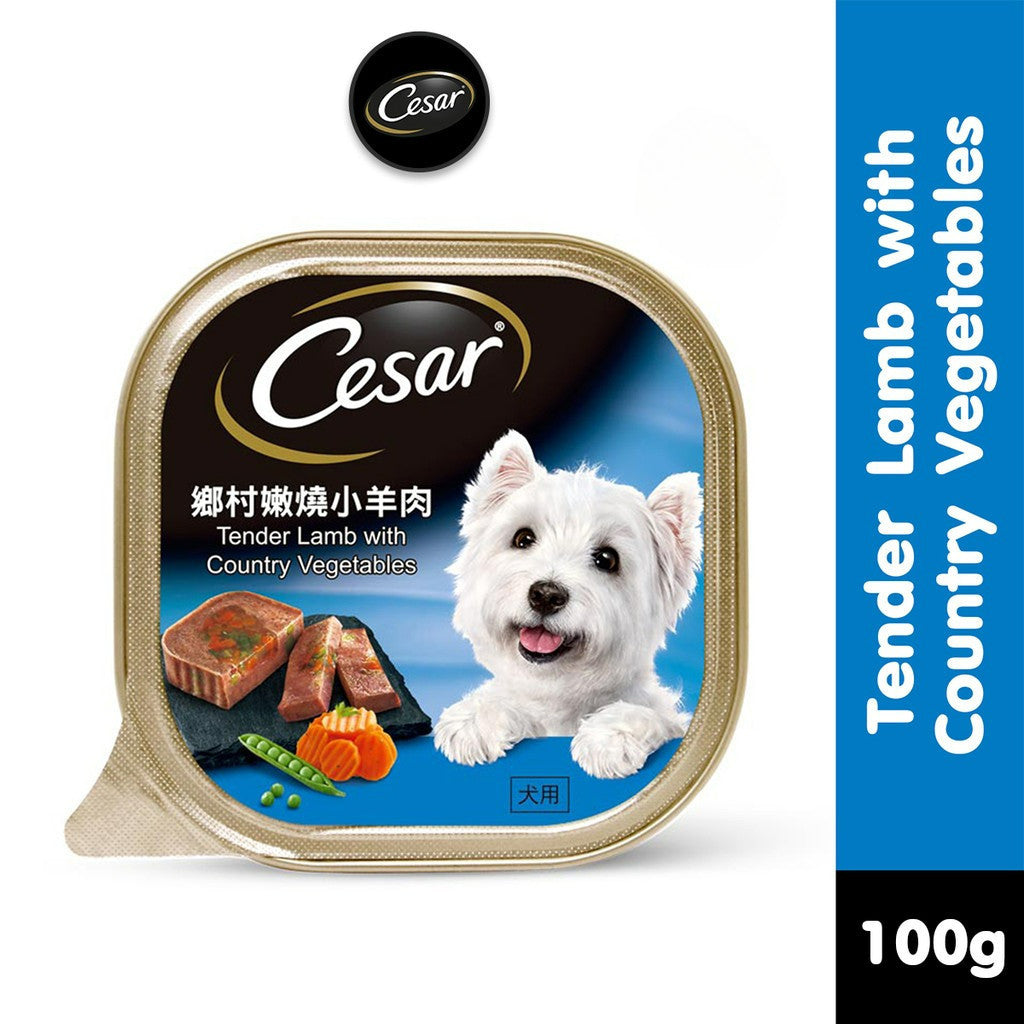 Cesar Wet Dog Food Tray - All Flavors 100g per Pack