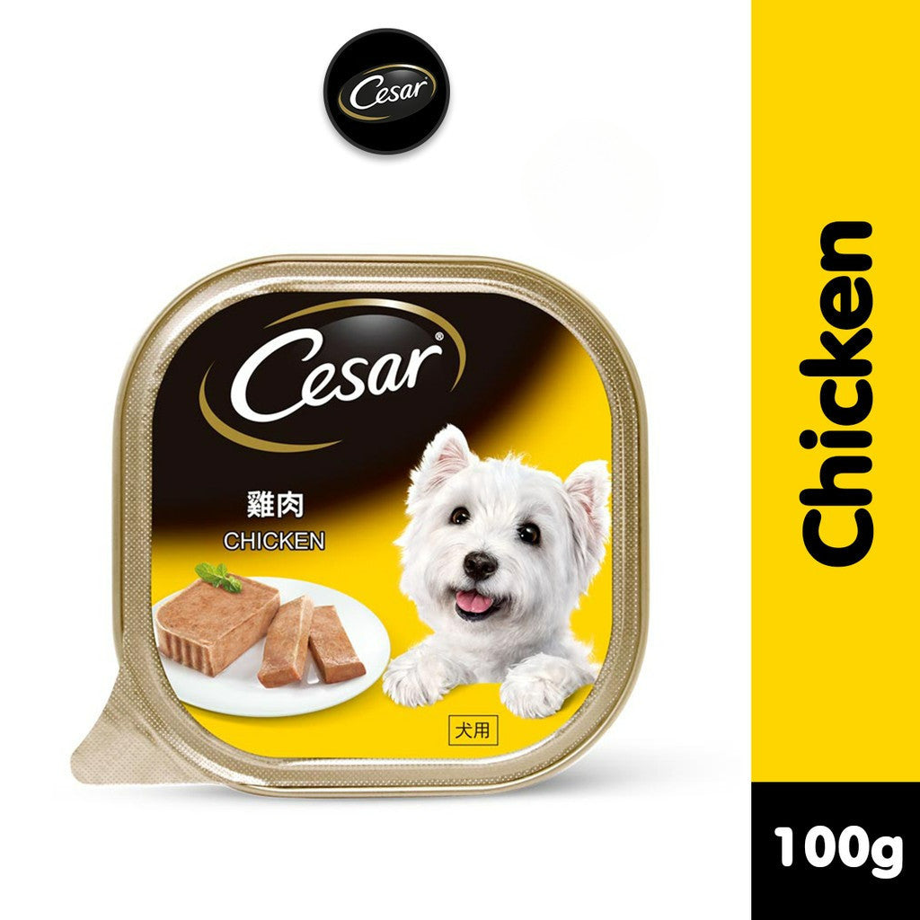 Cesar Wet Dog Food Tray - All Flavors 100g per Pack