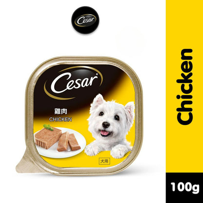 Cesar Wet Dog Food Tray - All Flavors 100g per Pack