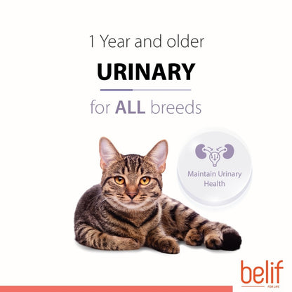 Belif Dry Food (Kitten/Adult/Sensitive Skin & Stomach/Urinary) 2.5kg | Cat Dry Food
