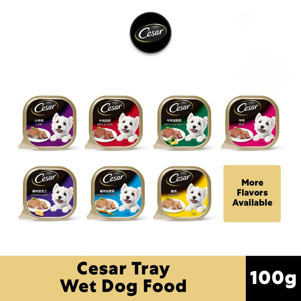Cesar Wet Dog Food Tray - All Flavors 100g per Pack