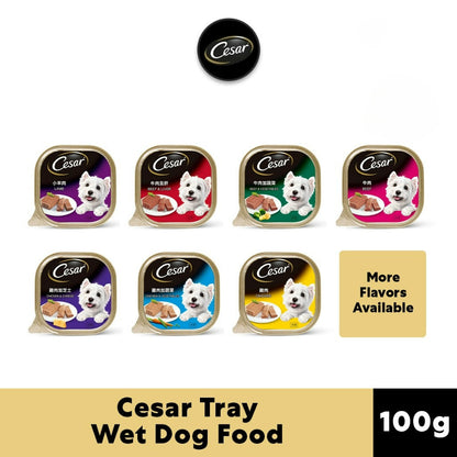 Cesar Wet Dog Food Tray - All Flavors 100g per Pack