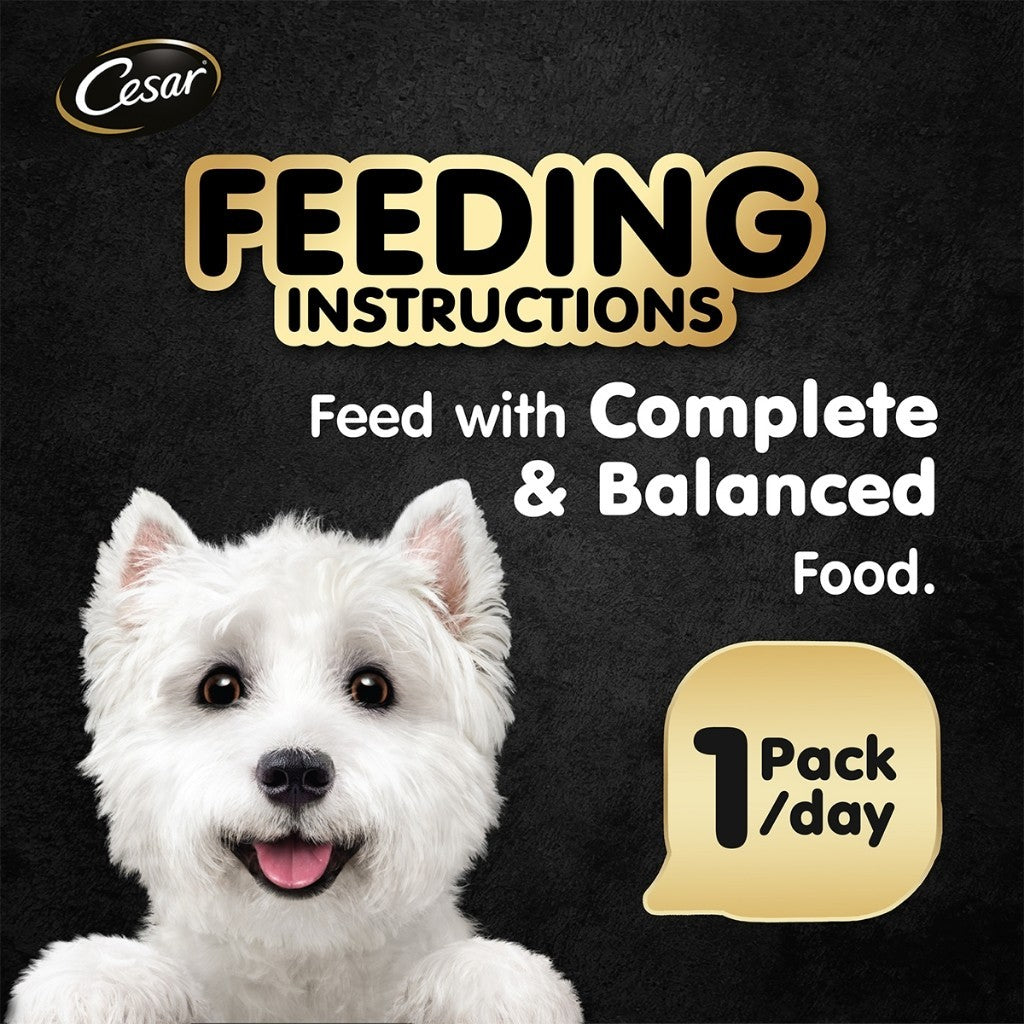 Cesar Wet Dog Food Tray - All Flavors 100g per Pack