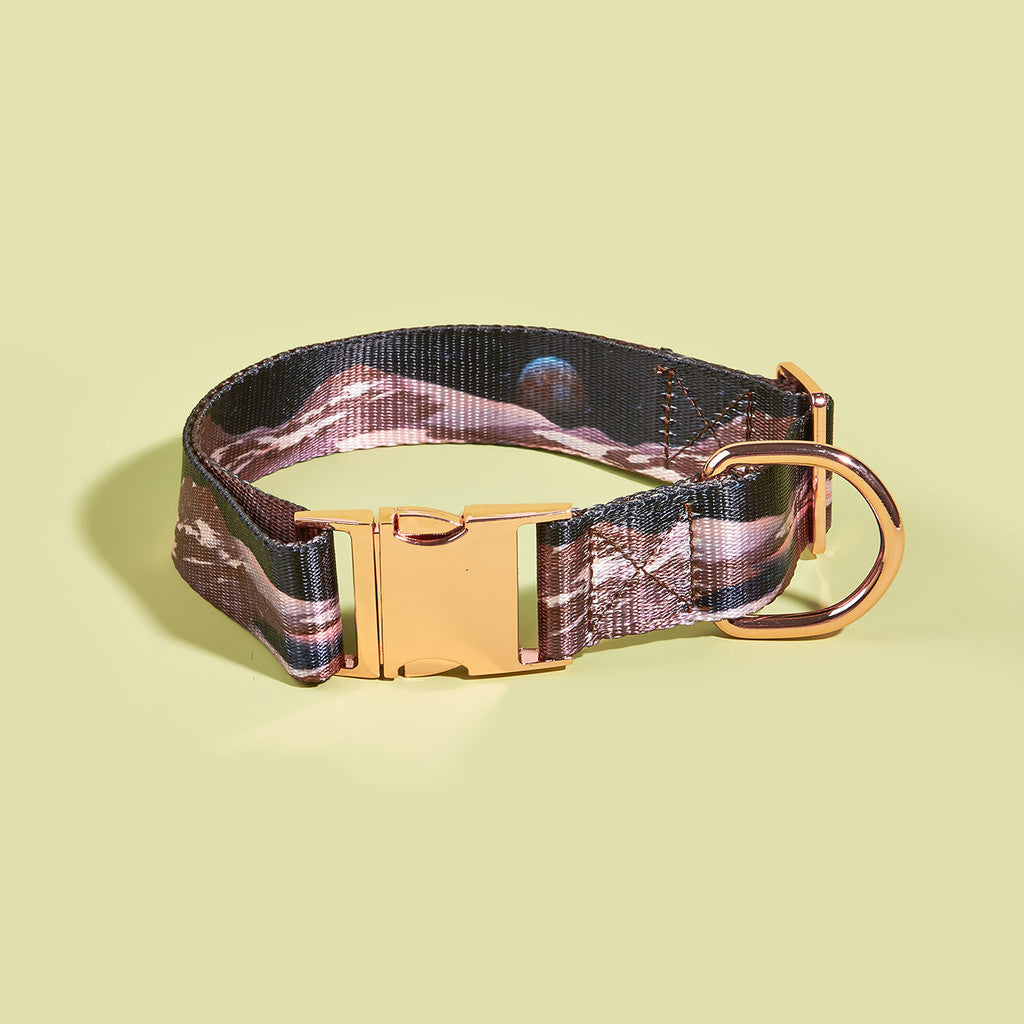FUREVER365 Heavy Duty Dog Collar Metal Buckle Adjustable Pet Training Collar Large Dog XL XXL Kucing