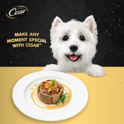 Cesar Naturally Crafted Wet Dog Food Tray - All Flavor 85g Per Pack