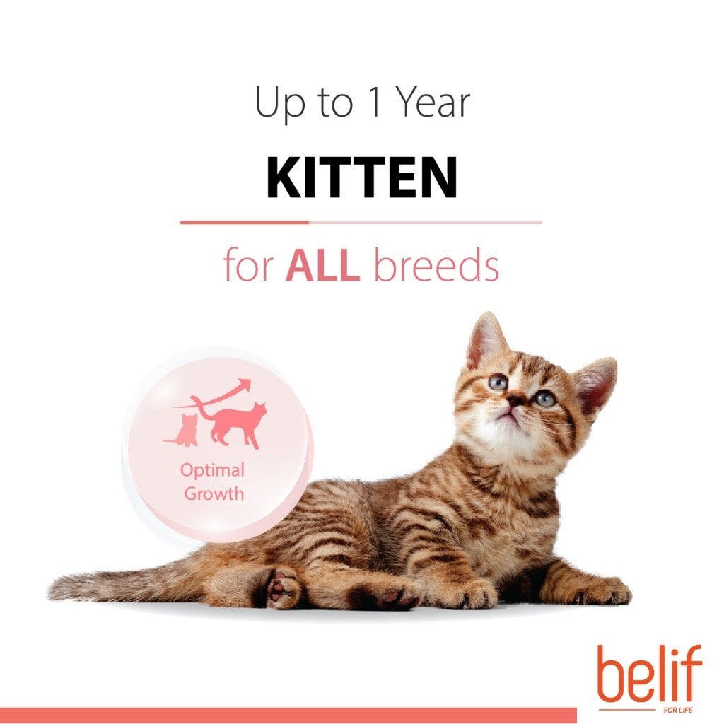 Belif Dry Food (Kitten/Adult/Sensitive Skin & Stomach/Urinary) 2.5kg | Cat Dry Food