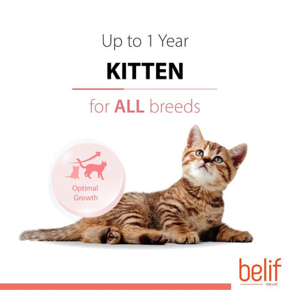 Belif Dry Food (Kitten/Adult/Sensitive Skin & Stomach/Urinary) 2.5kg | Cat Dry Food