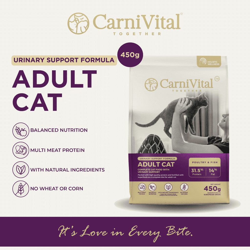 450g Travel Pack - Adult Cat / Hair & Skin / Kitten & Junior Makanan Kucing | CarniVital
