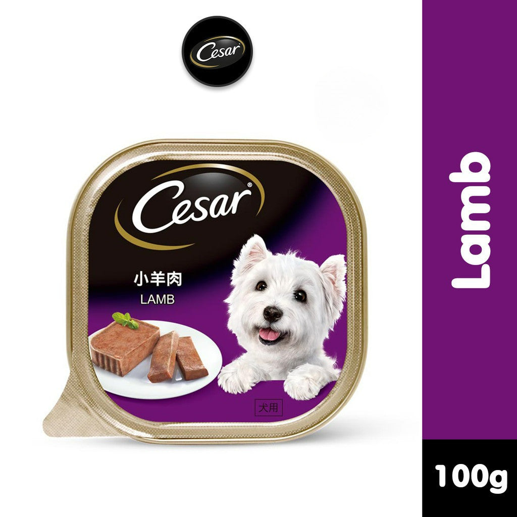 Cesar Wet Dog Food Tray - All Flavors 100g per Pack