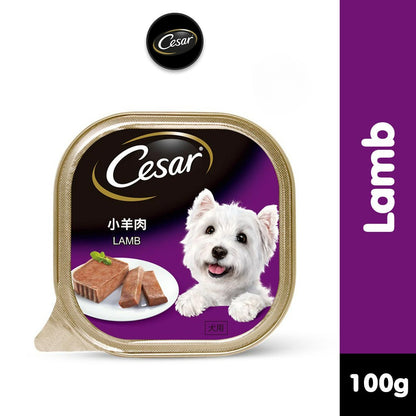Cesar Wet Dog Food Tray - All Flavors 100g per Pack