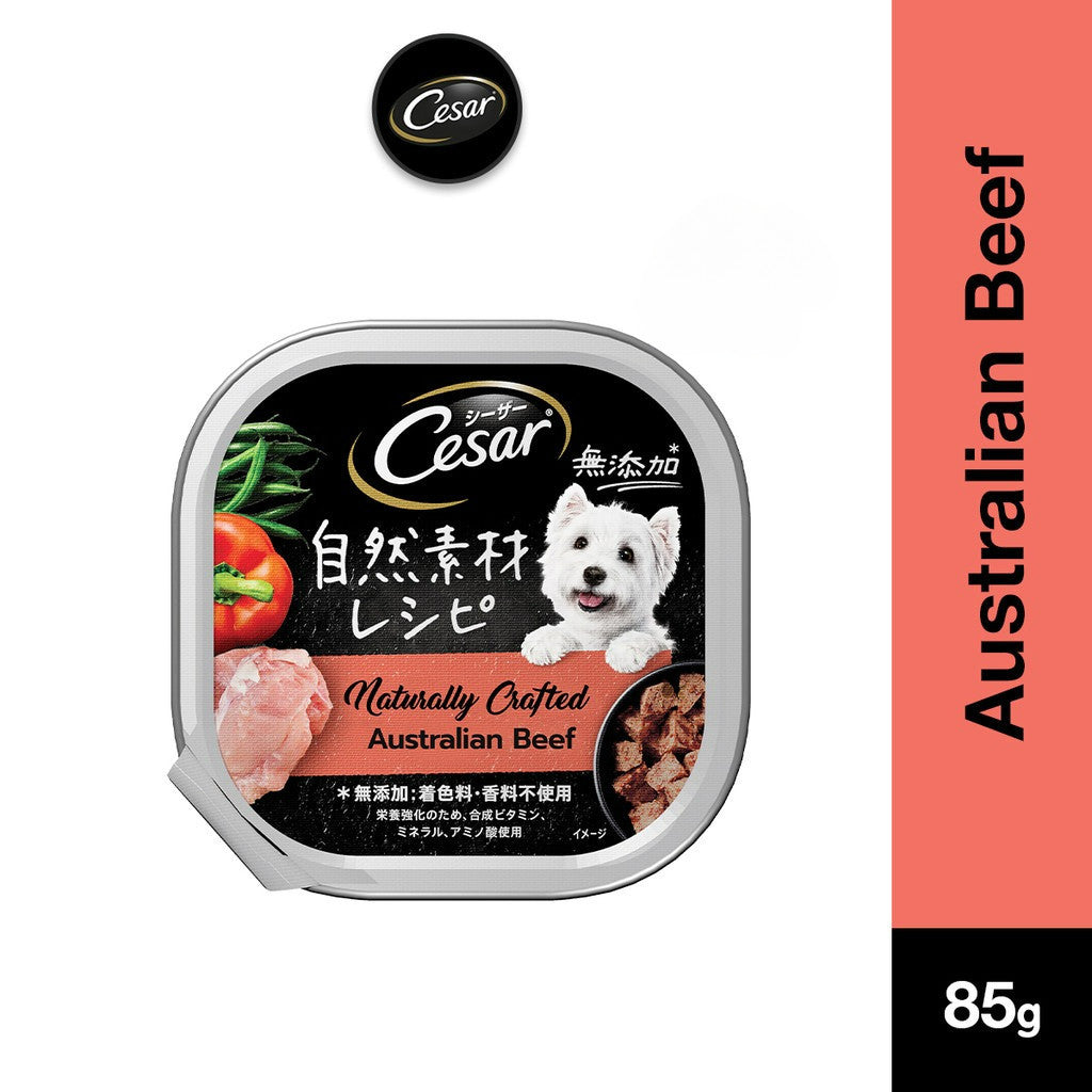 Cesar Naturally Crafted Wet Dog Food Tray - All Flavor 85g Per Pack