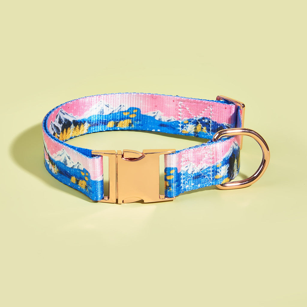 FUREVER365 Heavy Duty Dog Collar Metal Buckle Adjustable Pet Training Collar Large Dog XL XXL Kucing