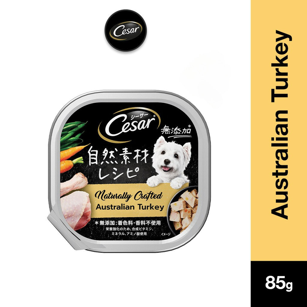 Cesar Naturally Crafted Wet Dog Food Tray - All Flavor 85g Per Pack