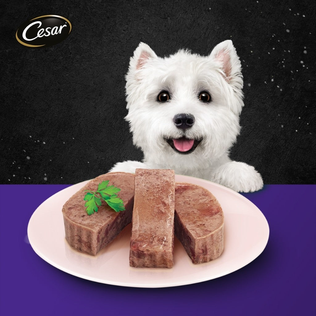 Cesar Wet Dog Food Tray - All Flavors 100g per Pack