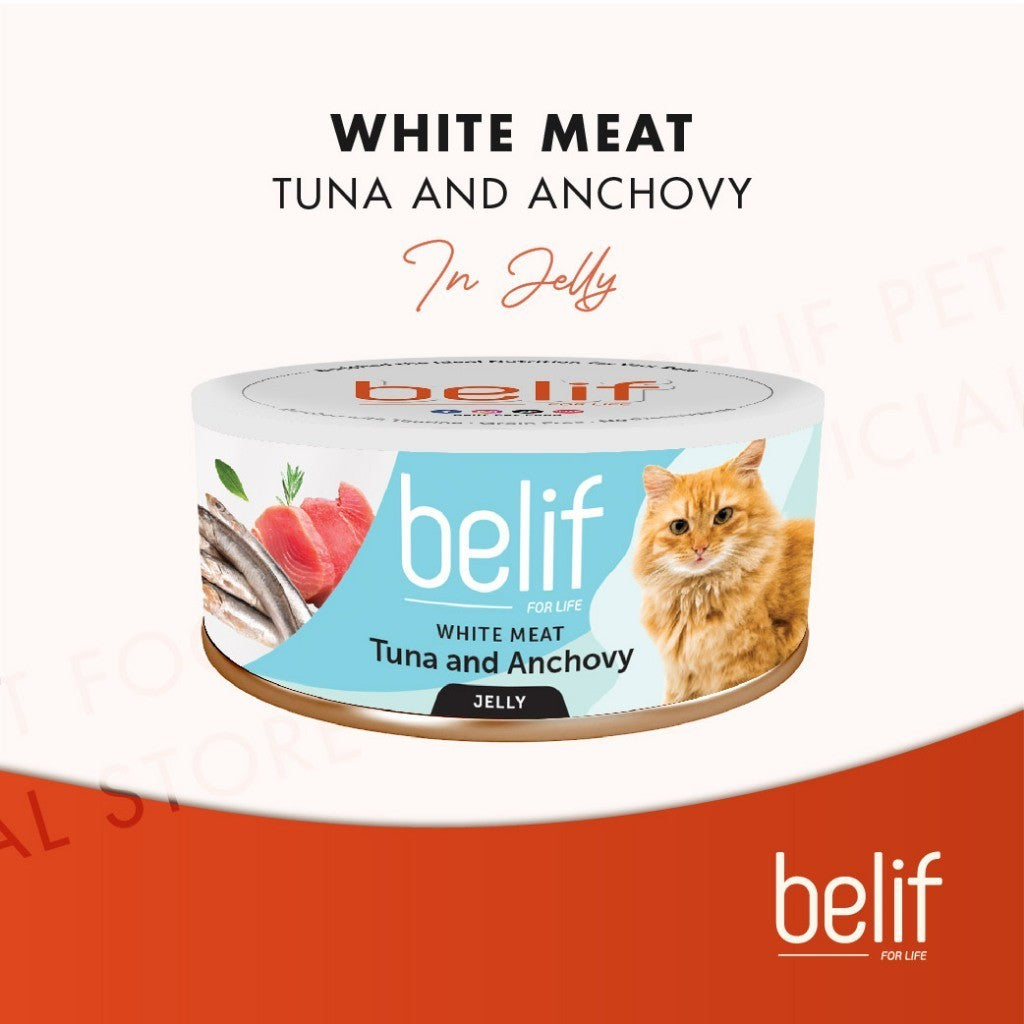 Belif Grain Free Tuna Salmon Flakes/Chic Breast/Anchovy/Shirasu/Shrimp Calamari in Jelly (80g)|Cat Wet Food