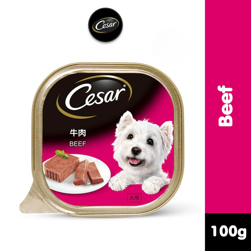 Cesar Wet Dog Food Tray - All Flavors 100g per Pack