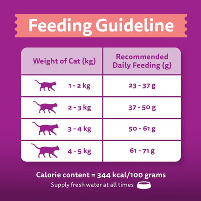 Whiskas Dry Adult Cat Food - Tuna & Salmon / Ocean Fish / Grilled Saba / Tuna / Mackerel / Chicken 1.2kg
