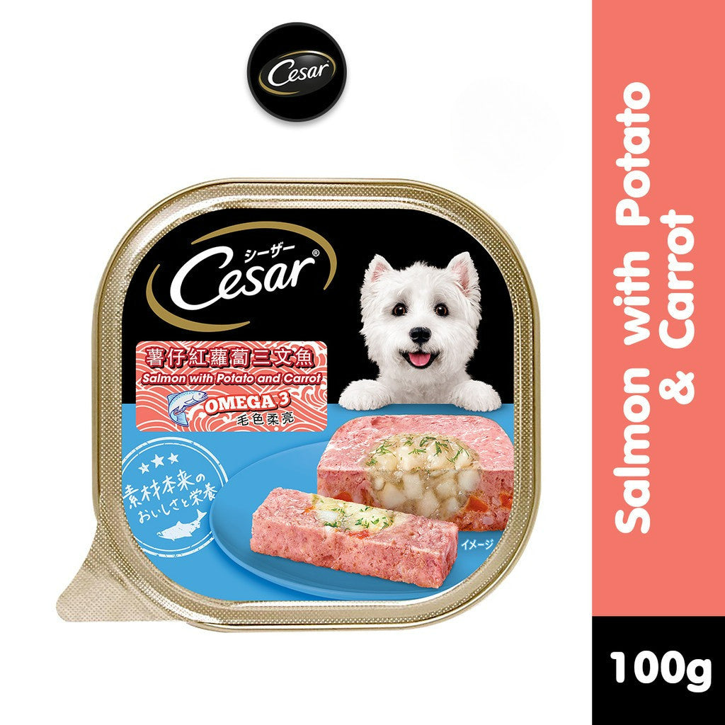 Cesar Wet Dog Food Tray - All Flavors 100g per Pack