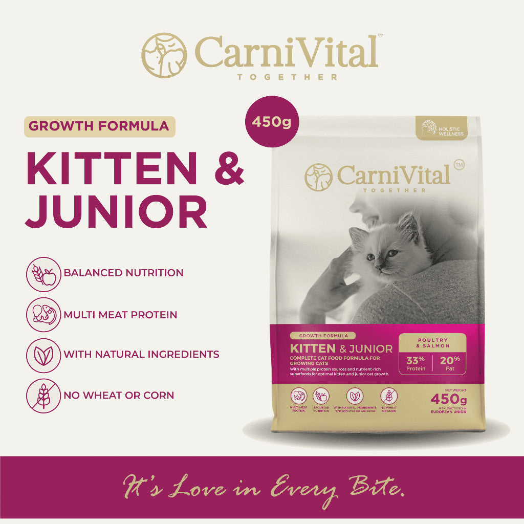 450g Travel Pack - Adult Cat / Hair & Skin / Kitten & Junior Makanan Kucing | CarniVital