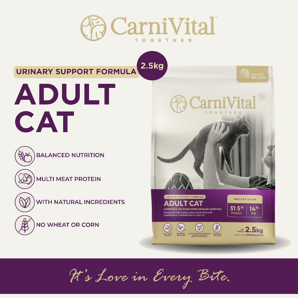 2.5kg Pack | Adult Cat / Hair & Skin / Kitten & Junior Makanan Kucing | CarniVital